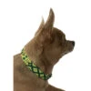 Ahorasi | Chien | Collier Vegan Tissé Mexicain 1 Ahorasi | Chien | Collier Vegan Tissé Mexicain -Fournitures Pour Chiens ahorasi chien collier vegan tisse mexicain 2
