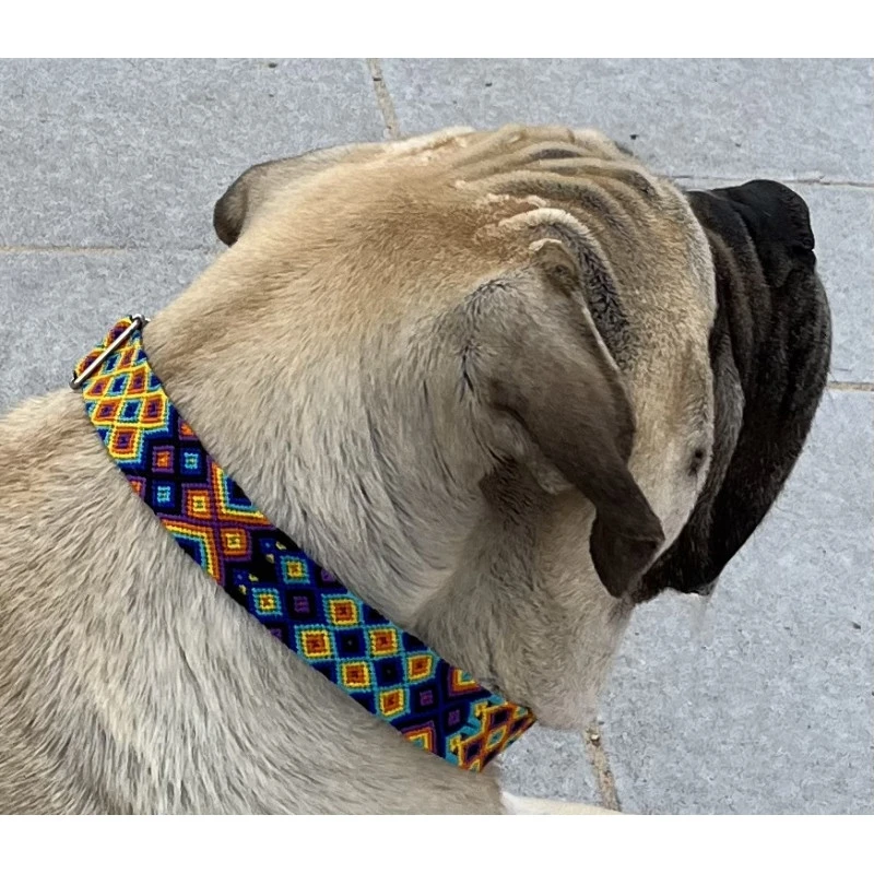 Ahorasi | Chien | Collier Vegan Tissé Mexicain 3 Ahorasi | Chien | Collier Vegan Tissé Mexicain