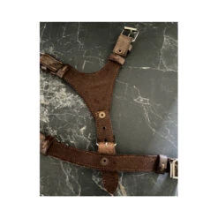 Ahorasi | Chien | Harnais En Cuir Tissage Mexicain 9 Ahorasi | Chien | Harnais En Cuir Tissage Mexicain -Fournitures Pour Chiens ahorasi chien harnais en cuir tissage mexicain 3