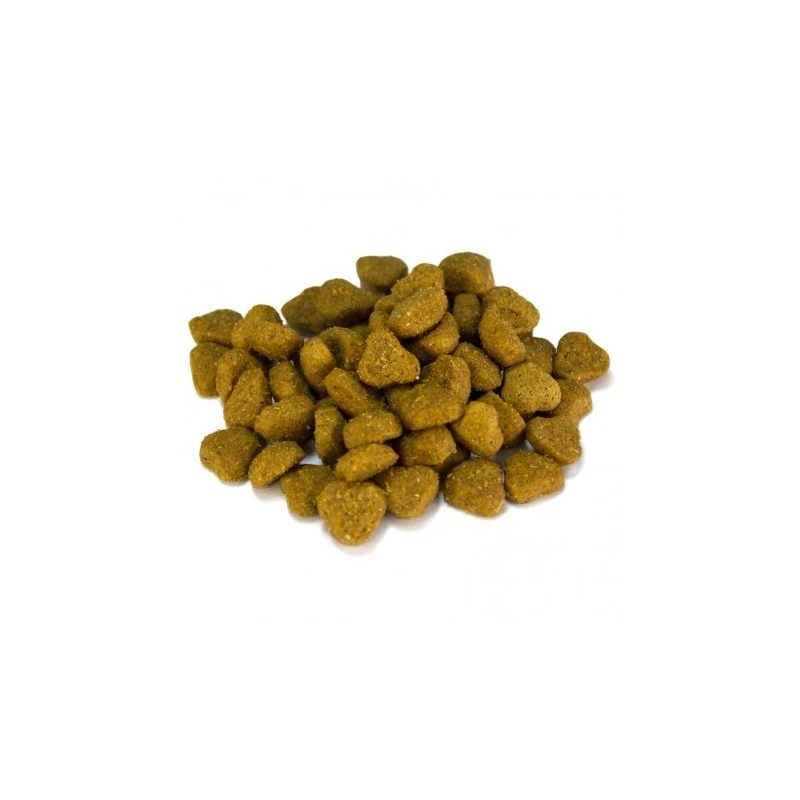 Arquivet | Croquettes Pour Chiens Agneau Et Riz 3 Kg 4 Arquivet | Croquettes Pour Chiens Agneau Et Riz 3 Kg – Image 2