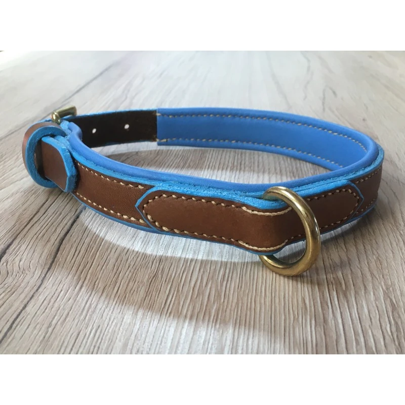 Arthelya | Collier Arès Doublé Pour Chien | Bleu 3 Arthelya | Collier Arès Doublé Pour Chien | Bleu