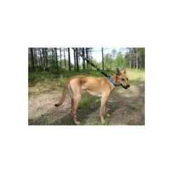 Axaeco 4 Season Elastic Leash | Laisse Pour Chien élastique -Fournitures Pour Chiens axaeco 4 season elastic leash laisse pour chien elastique 1 3