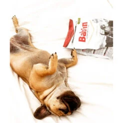 Bab'In | Chien | Croquette Medium Adulte-Canard 9 Bab'In | Chien | Croquette Medium Adulte-Canard -Fournitures Pour Chiens bab in chien croquette medium adulte canard 2