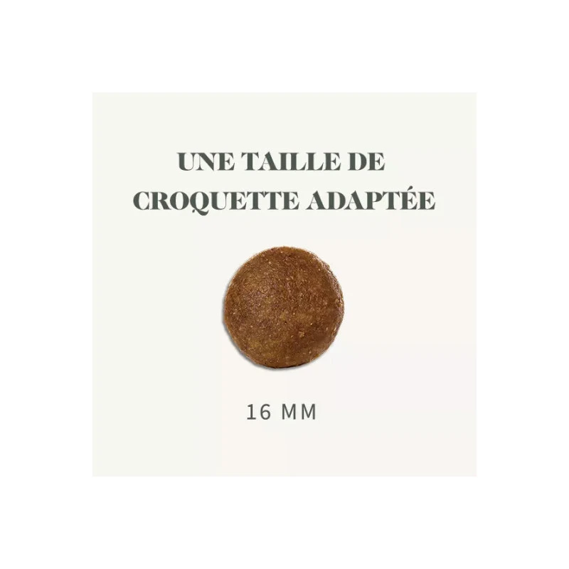 Bab'In | Chien | Croquette Mini Junior 8kg 6 Bab'In | Chien | Croquette Mini Junior 8kg – Image 4