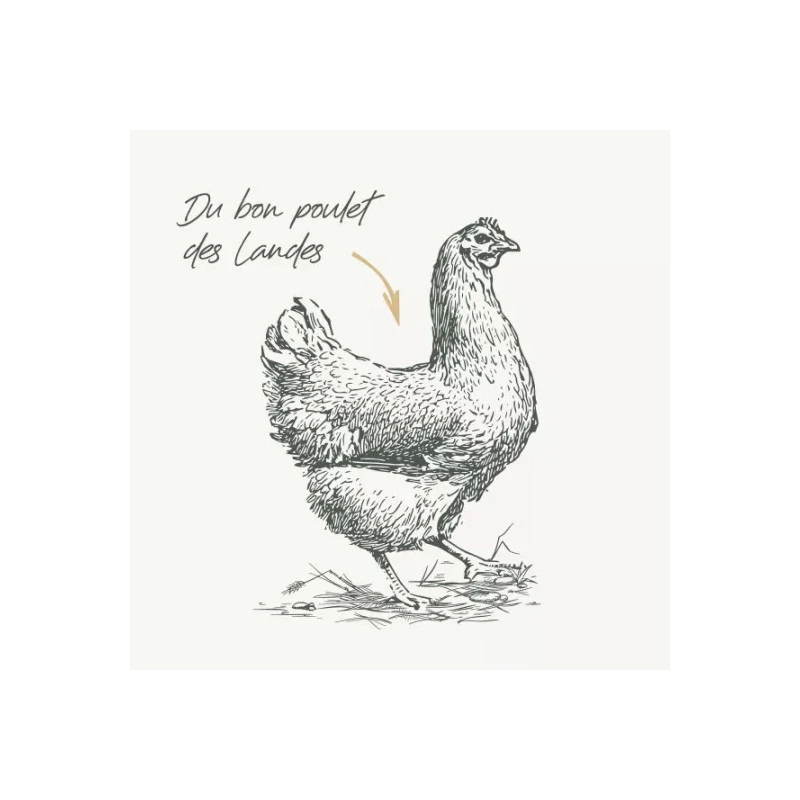 Bab'In | Chien | Croquette Mini Junior 8kg 7 Bab'In | Chien | Croquette Mini Junior 8kg – Image 5