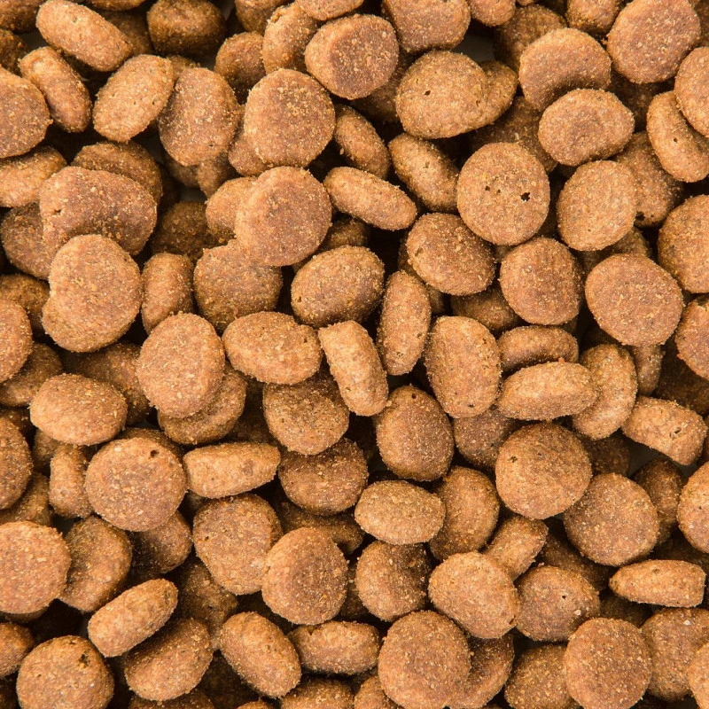 Bab'In | Croquettes Pour Chiens Stérilisés De 11 à 25 Kg | Au Poulet 4 Bab'In | Croquettes Pour Chiens Stérilisés De 11 à 25 Kg | Au Poulet – Image 2