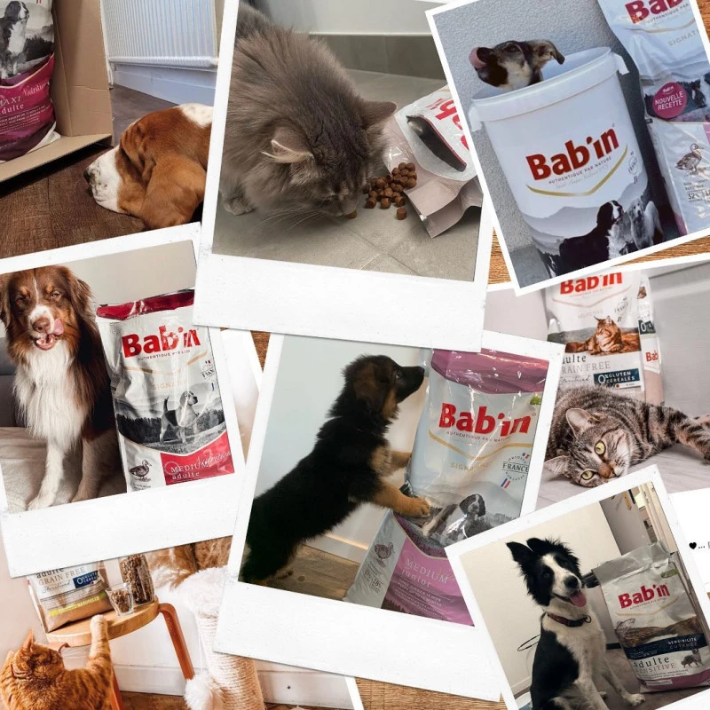 Bab'In | Croquettes Pour Chiens Stérilisés De 11 à 25 Kg | Au Poulet 5 Bab'In | Croquettes Pour Chiens Stérilisés De 11 à 25 Kg | Au Poulet – Image 3