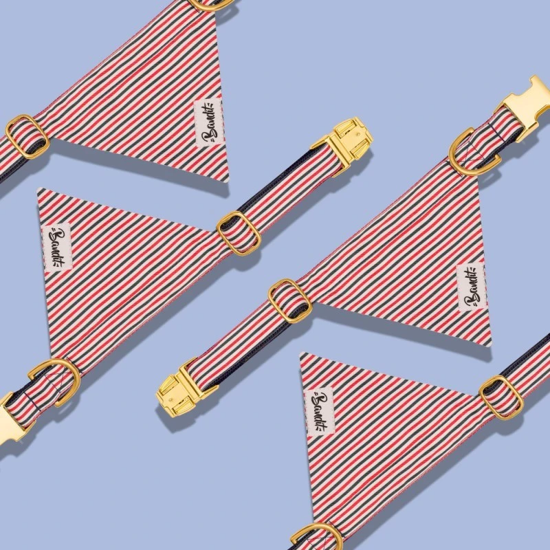 Bandit | Chien | Collier Bandana FRENCH BANBAN 4 Bandit | Chien | Collier Bandana FRENCH BANBAN – Image 2