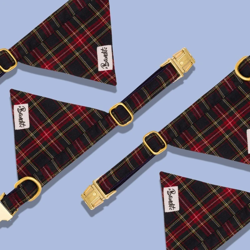 Bandit | Chien | Collier Bandana OH MY LORD 4 Bandit | Chien | Collier Bandana OH MY LORD – Image 2