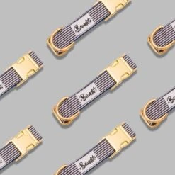 Bandit | Chien | Collier In The Navy