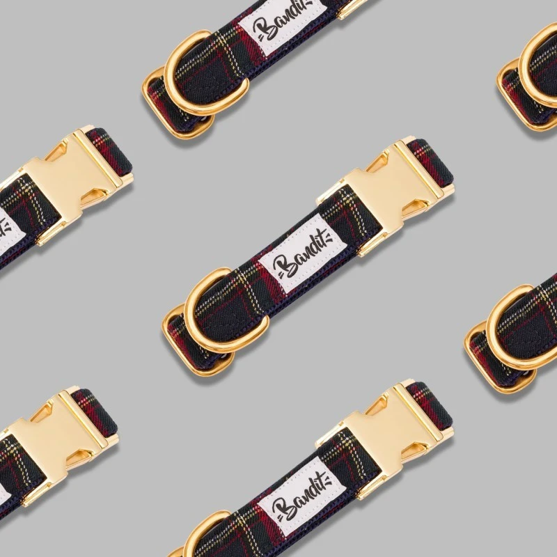 Bandit | Chien | Collier OH MY LORD 4 Bandit | Chien | Collier OH MY LORD – Image 2