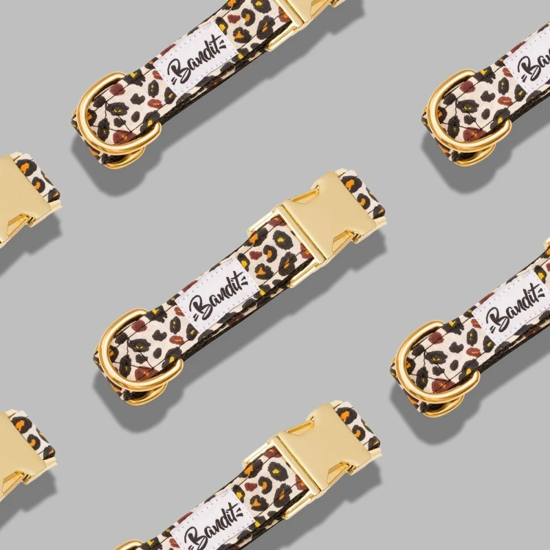 Bandit | Chien | Collier WILD WILD WOOF 4 Bandit | Chien | Collier WILD WILD WOOF – Image 2