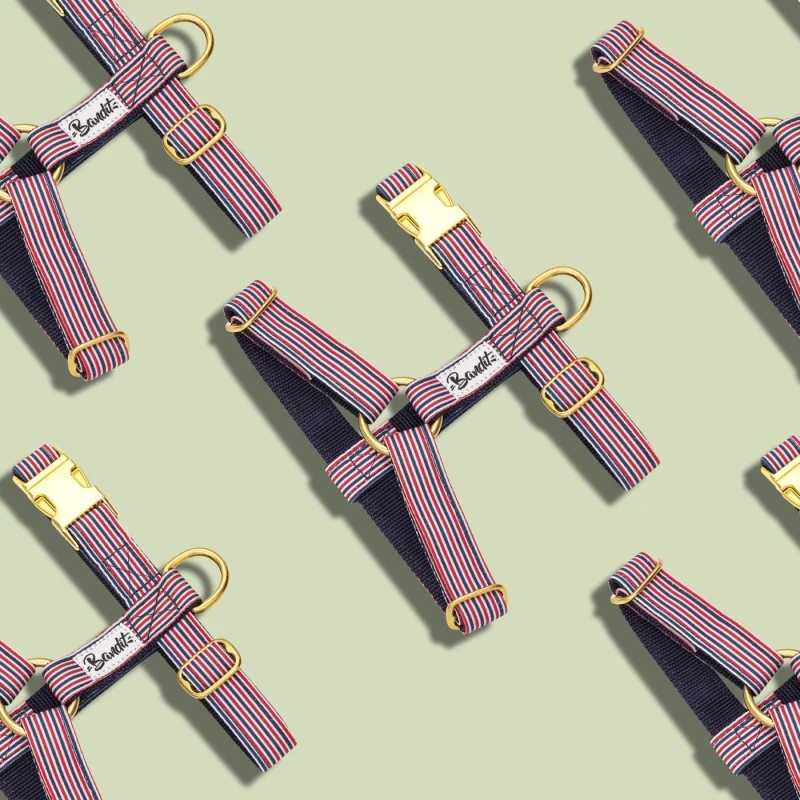 Bandit | Chien | Harnais FRENCH BANBAN 4 Bandit | Chien | Harnais FRENCH BANBAN – Image 2