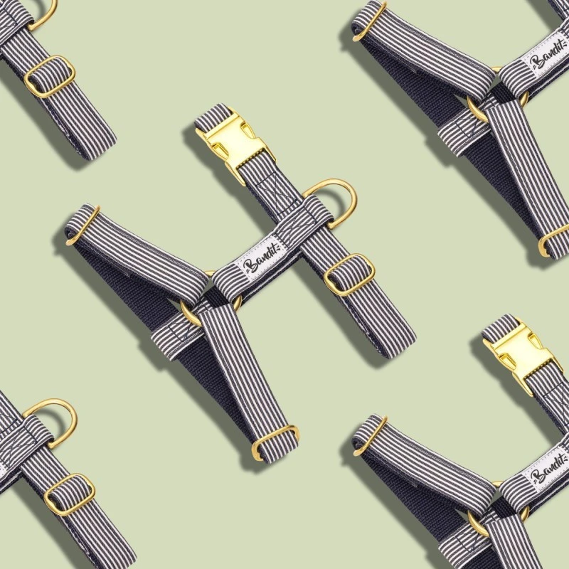 Bandit | Chien | Harnais IN THE NAVY 4 Bandit | Chien | Harnais IN THE NAVY – Image 2