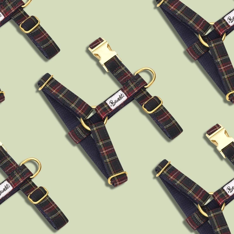 Bandit | Chien | Harnais OH MY LORD 4 Bandit | Chien | Harnais OH MY LORD – Image 2