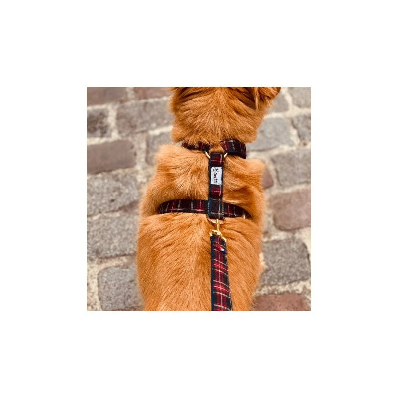 Bandit | Chien | Harnais OH MY LORD 5 Bandit | Chien | Harnais OH MY LORD – Image 3