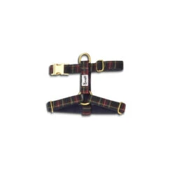 Bandit | Chien | Harnais OH MY LORD