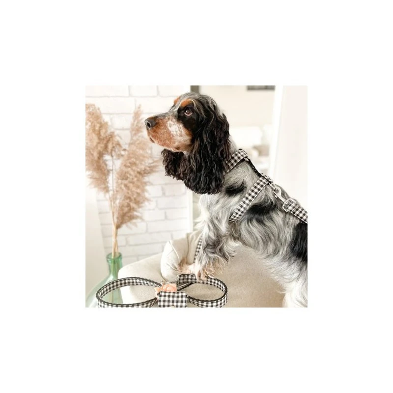 Bandit | Chien | Harnais VENI VIDI VICHY 4 Bandit | Chien | Harnais VENI VIDI VICHY – Image 2