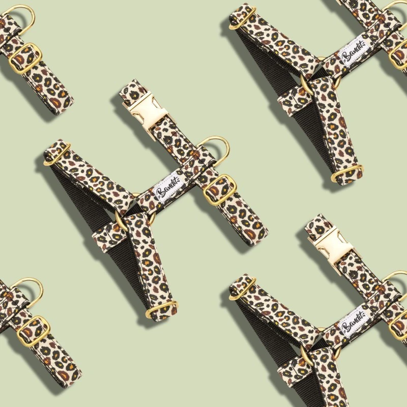 Bandit | Chien | Harnais WILD WILD WOOF 4 Bandit | Chien | Harnais WILD WILD WOOF – Image 2