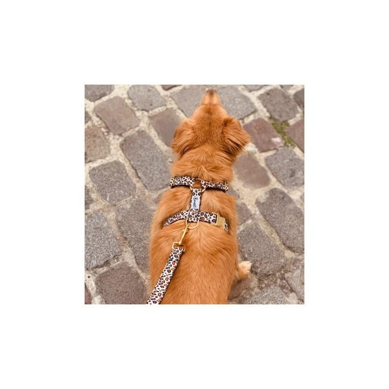 Bandit | Chien | Harnais WILD WILD WOOF 5 Bandit | Chien | Harnais WILD WILD WOOF – Image 3