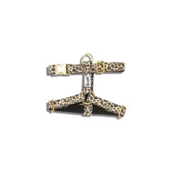 Bandit | Chien | Harnais WILD WILD WOOF