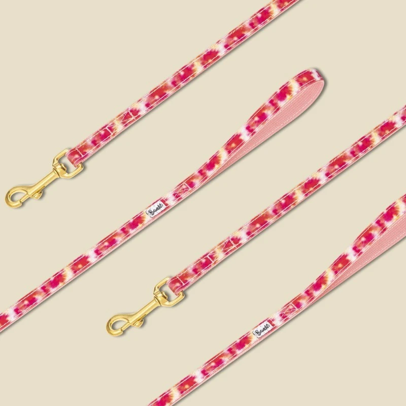 Bandit | Chien | Laisse BANDIKINI 2 Bandit | Chien | Laisse BANDIKINI