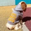 Bandit | Chien | Sweat à Capuche Cool Dog Club | Gris 1 Bandit | Chien | Sweat à Capuche Cool Dog Club | Gris -Fournitures Pour Chiens bandit chien sweat a capuche cool dog club gris