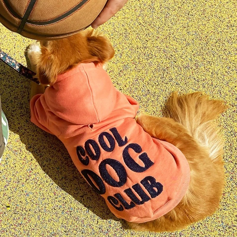 Bandit | Chien | Sweat à Capuche Cool Dog Club | Rose Clair 3 Bandit | Chien | Sweat à Capuche Cool Dog Club | Rose Clair