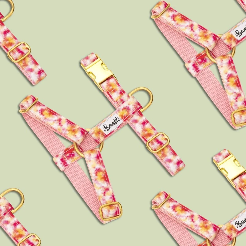 Bandit | Harnais Pour Chien BANDIKINI 4 Bandit | Harnais Pour Chien BANDIKINI – Image 2