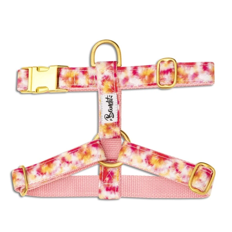 Bandit | Harnais Pour Chien BANDIKINI 3 Bandit | Harnais Pour Chien BANDIKINI