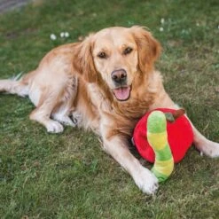 Beeztees | Chien | Peluche De Fouille Pomme Et Asticot 10 Beeztees | Chien | Peluche De Fouille Pomme Et Asticot -Fournitures Pour Chiens beeztees chien peluche de fouille pomme et asticot 3