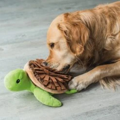 Beeztees | Chien | Peluche Tapis De Fouille Tortue 7 Beeztees | Chien | Peluche Tapis De Fouille Tortue -Fournitures Pour Chiens beeztees chien peluche tapis de fouille tortue 2