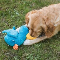 Beeztees | Peluche De Fouille Pour Chien Pelican Et Poisson 9 Beeztees | Peluche De Fouille Pour Chien Pelican Et Poisson -Fournitures Pour Chiens beeztees peluche de fouille pour chien pelican et poisson 3