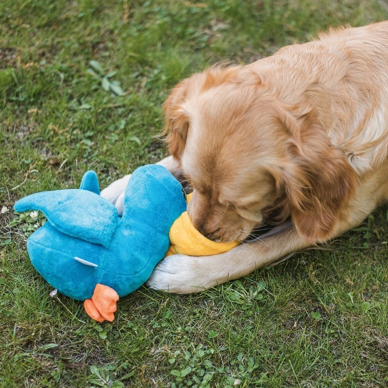Beeztees | Peluche De Fouille Pour Chien Pelican Et Poisson 6 Beeztees | Peluche De Fouille Pour Chien Pelican Et Poisson – Image 4