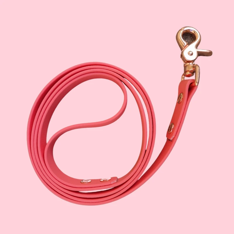 Belette Alouette | Chiens | Laisse BioThane Girly 4 Belette Alouette | Chiens | Laisse BioThane Girly – Image 2