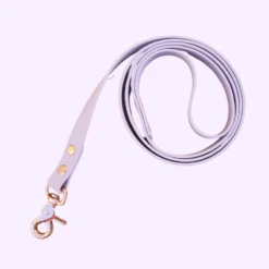 Belette Alouette | Chiens | Laisse BioThane Girly