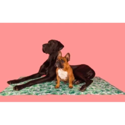 Big And Little Dogs | Tapis Rafraichissant Pour Chien