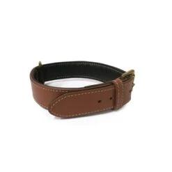 Bobby Classic | Collier Pour Chien En Cuir Avec Surpiqûre | Marron