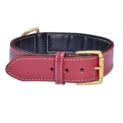 Bobby Classic | Collier Pour Chien En Cuir Avec Surpiqûre | Rouge