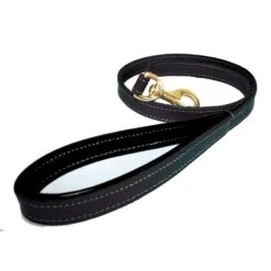 Bobby Classic | Laisse Pour Chien En Cuir Doublé | Noir