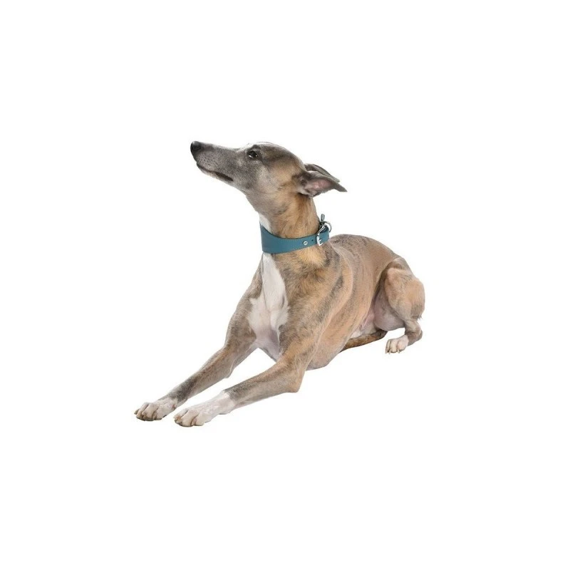 Bobby | Collier Lévrier NICKY En Cuir | Bleu 5 Bobby | Collier Lévrier NICKY En Cuir | Bleu – Image 3