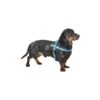 Bobby Easy | Harnais Pour Chien Aux Bandes Réfléchissantes | Bleu 1 Bobby Easy | Harnais Pour Chien Aux Bandes Réfléchissantes | Bleu -Fournitures Pour Chiens bobby easy harnais pour chien aux bandes reflechissantes bleu