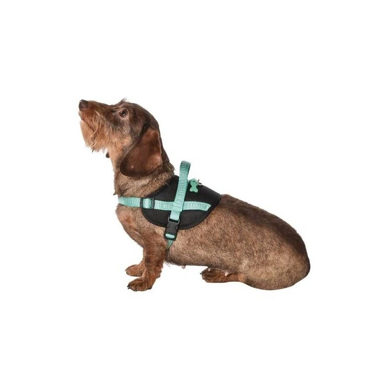 Bobby Easy | Harnais Réfléchissant Pour Chien | Lagon 4 Bobby Easy | Harnais Réfléchissant Pour Chien | Lagon – Image 2