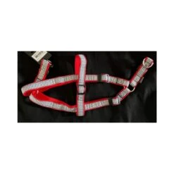 Bobby | Harnais Baudrier Pour Chien Avec Médaille Prestige