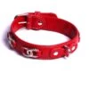 By Mode France | Collier En Cuir Pour Chien Fabrication Artisanale | Rouge -Fournitures Pour Chiens by mode france collier en cuir pour chien fabrication artisanale rouge
