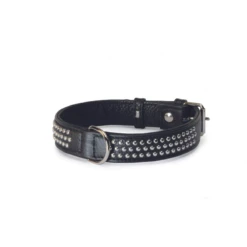 Camon | Collier à Clous | Noir | Pour Chien -Fournitures Pour Chiens camon collier a clous noir pour chien 2