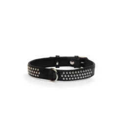 Camon | Collier à Clous | Noir | Pour Chien