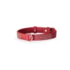 Camon | Collier à Clous | Rouge | Pour Chien 2 Camon | Collier à Clous | Rouge | Pour Chien -Fournitures Pour Chiens camon collier a clous rouge pour chien