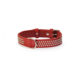 Camon | Collier à Clous | Rouge | Pour Chien 10 Camon | Collier à Clous | Rouge | Pour Chien -Fournitures Pour Chiens camon collier a clous rouge pour chien 3