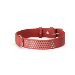 Camon | Collier à Clous | Rouge | Pour Chien 11 Camon | Collier à Clous | Rouge | Pour Chien -Fournitures Pour Chiens camon collier a clous rouge pour chien 4